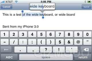 Illustration for article titled iPhone 3.0 Beta OS Impressions And Walkthrough Gallery